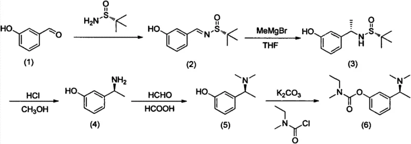 Complete reaction scheme for the asymmetric synthesis of (S)-rivastigmine showing the transformation from m-hydroxybenzaldehyde to the final API via Ellman auxiliary mediated Grignard addition