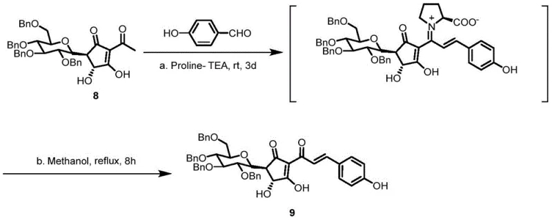 L-Proline catalyzed aldol condensation step forming the chalcone side chain