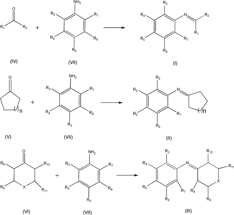 General reaction schemes for Schiff base synthesis showing ketone and aromatic amine substrates
