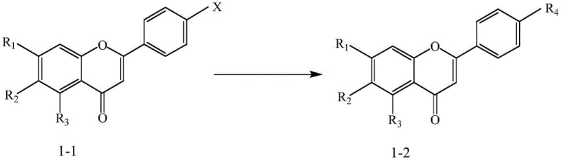 Suzuki coupling for diversification of the chromone scaffold