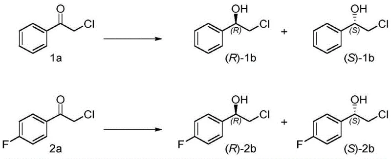 Asymmetric reduction reaction scheme showing conversion of acetophenone derivatives to chiral alcohols