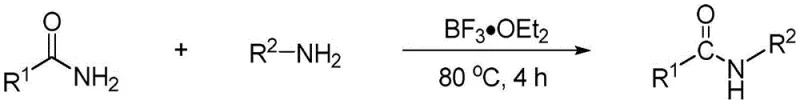 General reaction scheme for boron salt catalyzed transamidation of primary amides to secondary amides