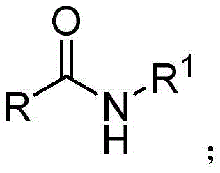 General structural formula of secondary amide reactant used in the novel catalytic process