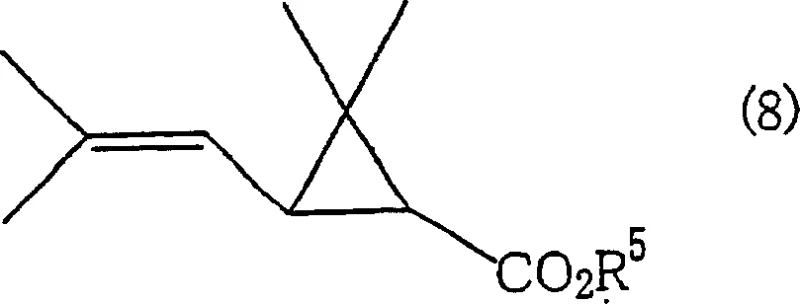 Chemical structure of Chrysanthemum monocarboxylate substrate used in agrochemical synthesis