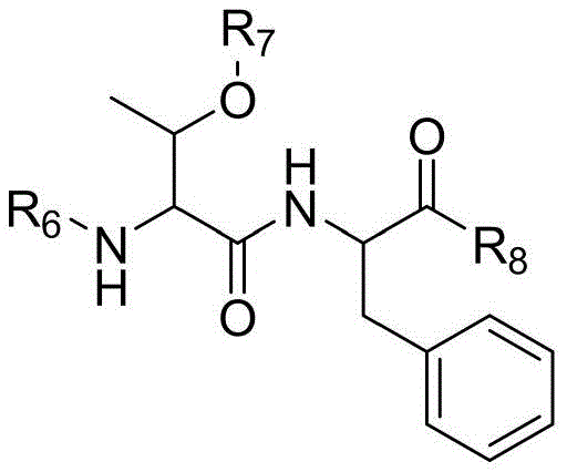 Chemical structure of the S5-S6 peptide fragment intermediate used in the novel synthesis route