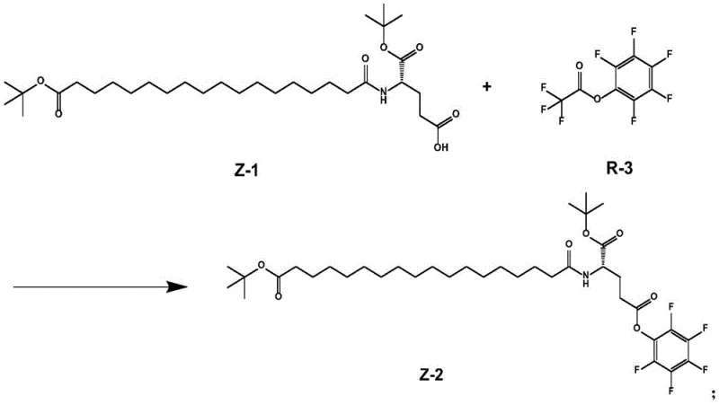 Activation of intermediate Z-1 carboxyl group with R-3 to form Z-2