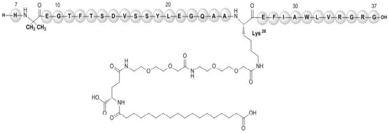 Chemical structure of Semaglutide showing the Lys26 side chain modification with ADO-ADO linker and fatty acid chain