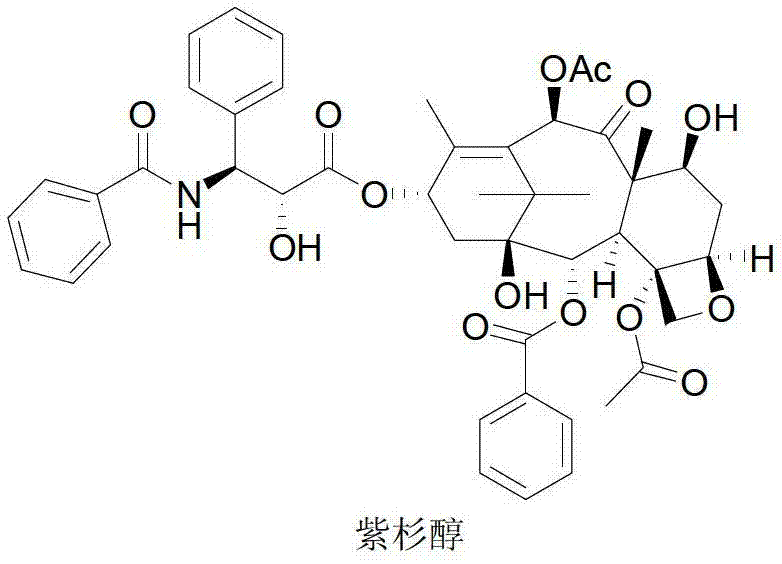 Chemical structure of Taxol (Paclitaxel) showing the complex diterpenoid core and C13 side chain