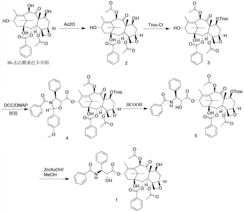 Complete five-step semi-synthetic route from 10-DAB to Taxol showing reagents and intermediates