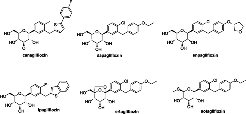 Chemical structures of marketed SGLT2 inhibitors including Canagliflozin and Dapagliflozin