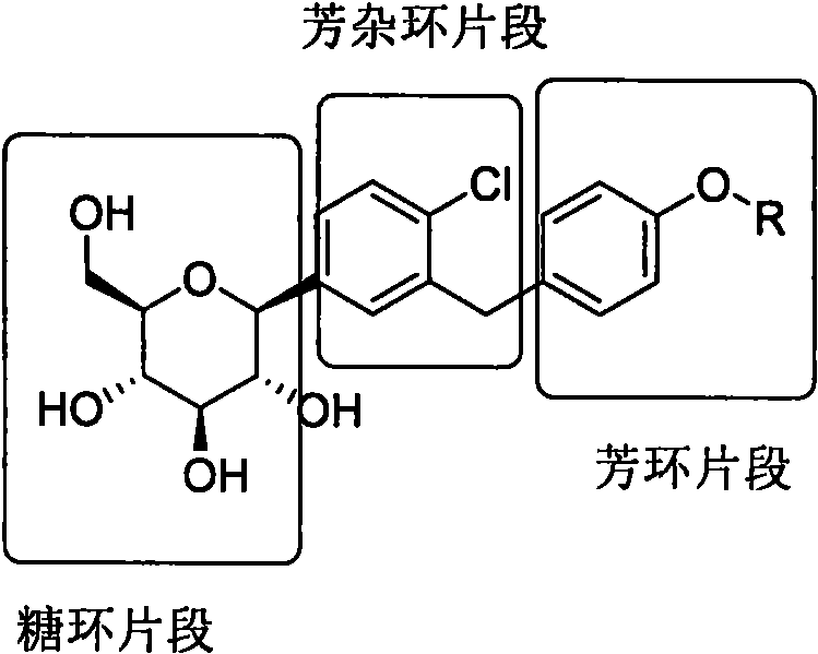Structural decomposition of SGLT2 inhibitors into sugar, heterocyclic, and aromatic fragments
