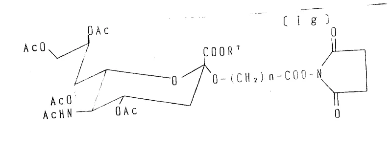 Structure of N-hydroxysuccinimide active ester derivative of sialic acid