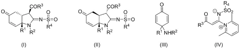 General reaction scheme showing the silver-catalyzed synthesis of hydroindole imine diastereoisomers from cyclohexenone amines and pyridine ketene imine salts