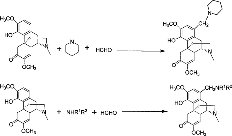 General reaction scheme showing the Mannich reaction of sinomenine with formaldehyde and amine to form the intermediate