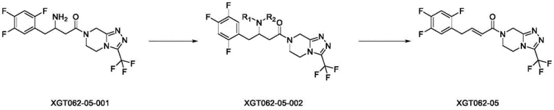 Novel synthetic route for XGT062-05 via reductive amination and Cope elimination