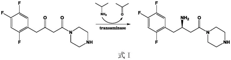 Conventional transaminase catalyzed synthesis of sitagliptin precursor using piperazine derivative substrate