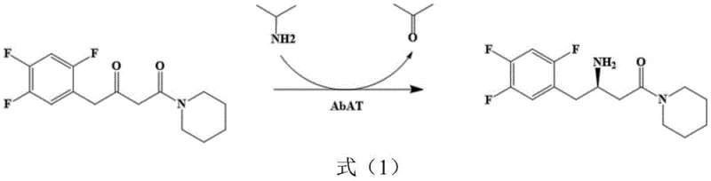 Enzymatic transamination reaction scheme converting sitagliptin precursor ketone to chiral amine intermediate using AcATA mutant