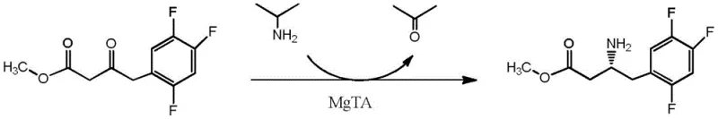 Biocatalytic synthesis of sitagliptin methyl ester intermediate using transaminase mutant