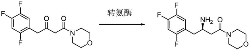 Transamination reaction converting morpholinedione to Sitagliptin intermediate using engineered transaminase