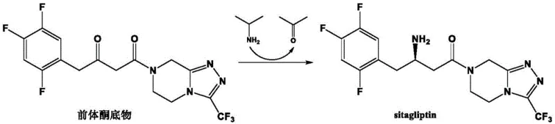 Biocatalytic conversion of precursor ketone substrate to sitagliptin using recombinant transaminase