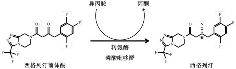 Reaction scheme showing the transaminase-catalyzed conversion of sitagliptin precursor ketone to sitagliptin using isopropylamine as the amine donor