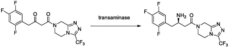 Chemical reaction scheme showing the transaminase-catalyzed conversion of a ketoamide substrate to Sitagliptin