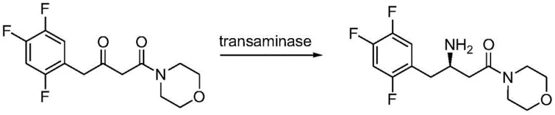 Reaction pathway for the synthesis of (R)-3-amino-1-morpholine-4-(2,4,5-trifluorophenyl)-1-butanone intermediate