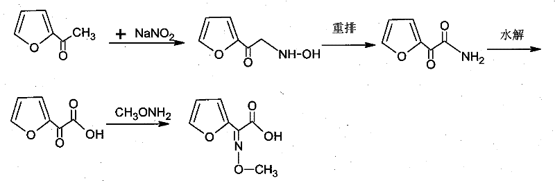 Reaction mechanism showing the conversion of acetyl furan to methoxyimino furan acetic acid via oxime and keto acid intermediates