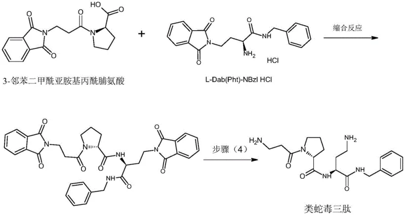Reaction scheme for Step 3 and 4 showing final condensation and hydrazinolysis deprotection