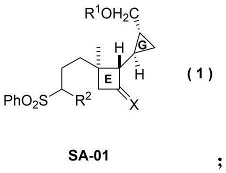 Chemical structure of Intermediate SA-01 showing the GE ring system with variable protecting groups