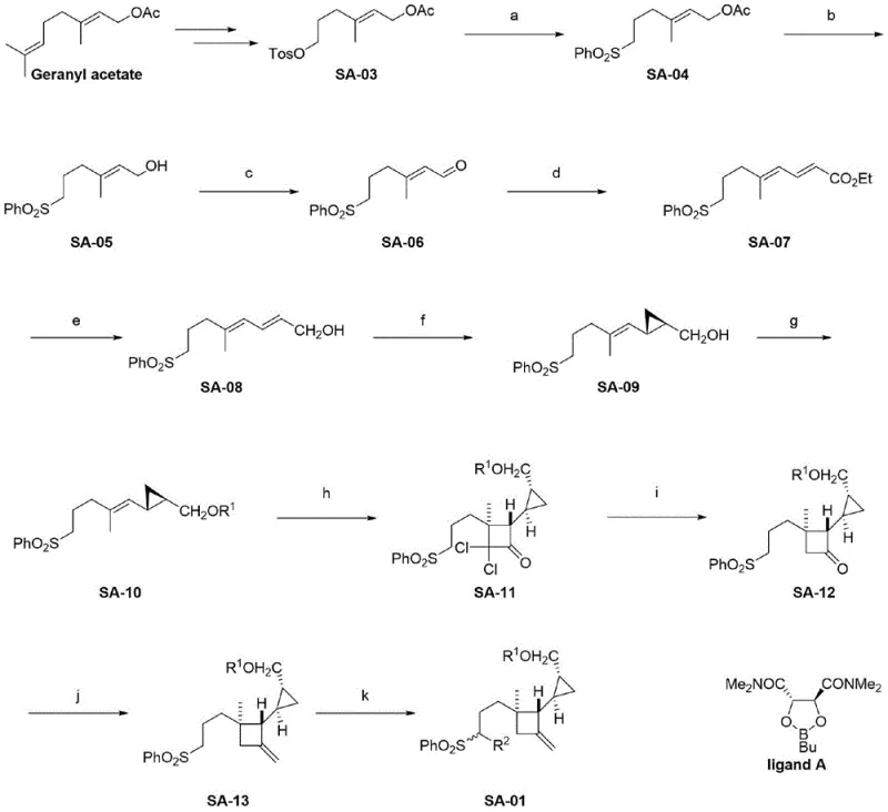 Complete synthetic roadmap from Geranyl acetate to Intermediate SA-01