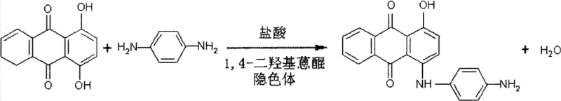 Chemical reaction scheme showing the condensation of 1,4-dihydroxyanthraquinone and leuco body with p-phenylenediamine catalyzed by hydrochloric acid