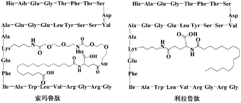 Structural comparison of Somaglutide and Liraglutide showing the PEG and fatty acid modifications