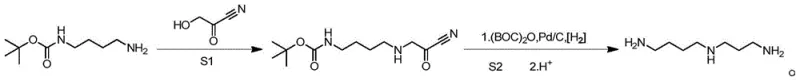 Reaction scheme showing the synthesis of Spermidine via N-BOC-1,4-butanediamine and cyanoacetic acid coupling followed by hydrogenation