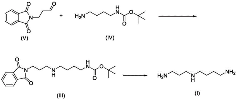 Novel synthetic route for Spermidine via reductive amination of intermediates V and IV
