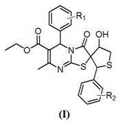 General chemical structure of spiro-containing dihydropyrimidine derivatives showing variable R1 and R2 substituents
