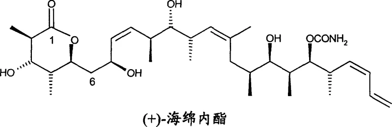 Chemical structure of (+)-Spongolactone showing the complex polyketide backbone and lactone ring