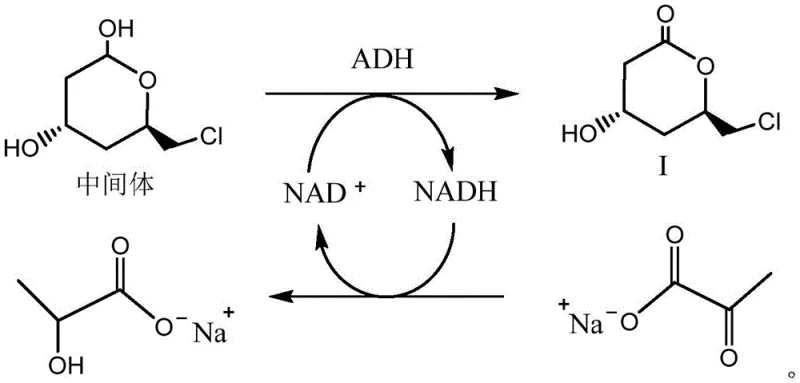 NADH cofactor regeneration cycle facilitating the oxidation step in the enzymatic synthesis pathway