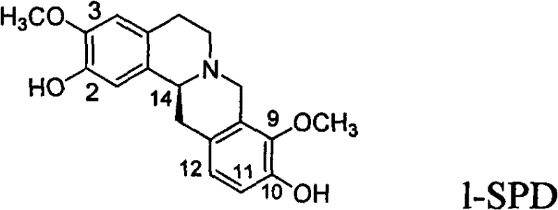 Chemical structure of L-Stepholidine (1-SPD) showing the tetrahydroprotoberberine skeleton