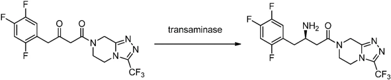 General reaction scheme showing transaminase catalyzed conversion of prochiral ketone to chiral amine