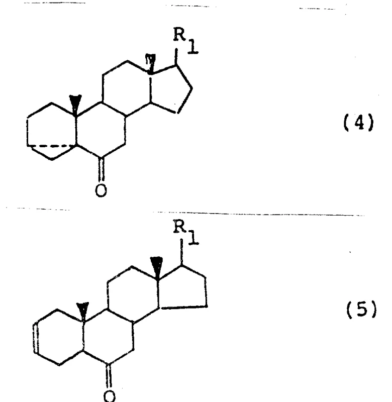 Overall reaction scheme showing the conversion from Formula 1 to Formula 5 through intermediates 2, 3, and 4