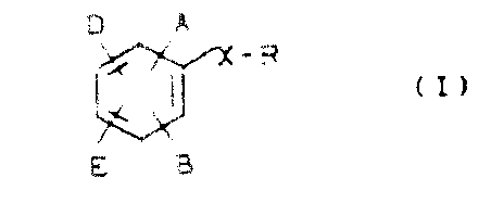 General Formula I of substituted biphenyl HMG-CoA reductase inhibitors showing variable substituent positions