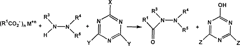 General reaction scheme showing carboxylic acid activation by triazine and subsequent hydrazine coupling
