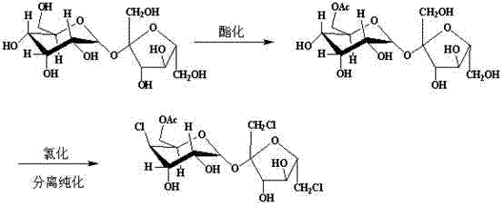 Reaction scheme showing the cascade conversion of sucrose to sucralose-6-acetate via esterification and quaternary ammonium salt chlorination