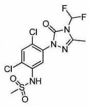 Chemical structure of Sulfentrazone showing the difluoromethyl triazolinone core