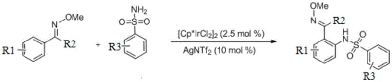 General reaction scheme for Ir-catalyzed sulfonamide synthesis showing oxime and sulfonamide coupling