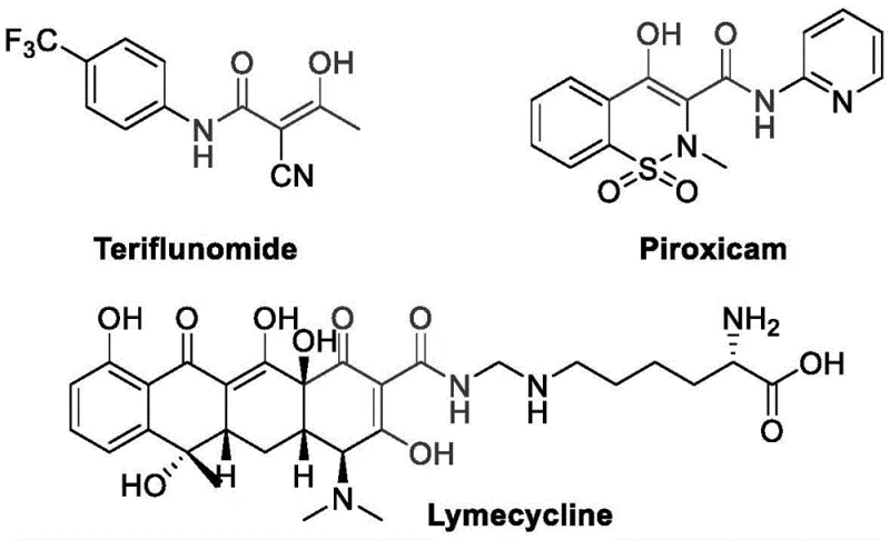 Chemical structures of ketoamide-containing drugs Teriflunomide, Piroxicam, and Lymecycline highlighting the pharmacological relevance of the scaffold