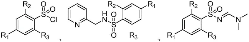 General reaction scheme showing conversion of sulfonyl chloride to sulfonamidine via intermediate