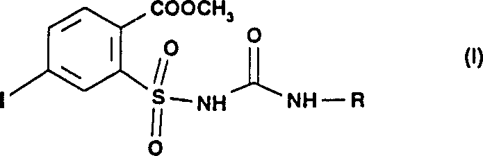 General chemical structure of Formula I representing the target N-substituted 4-iodo-2-sulfamoylbenzoate derivative