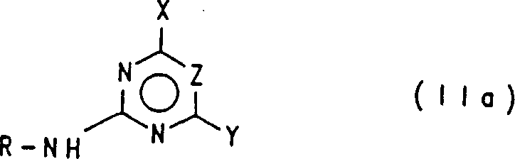 General structure of formula IIa amines used as substrates in the novel synthesis